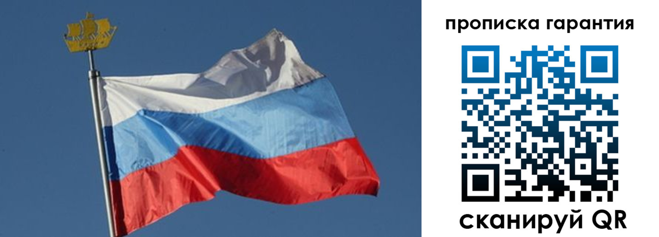 прописка для работы в Гвардейске